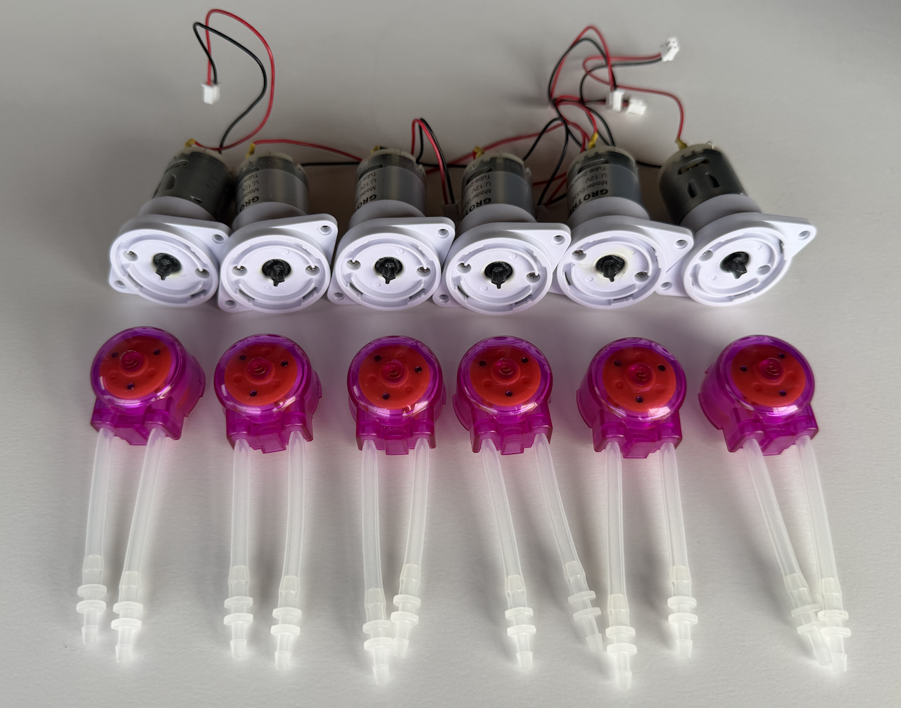 Stephan Pump Assembly - Demetra